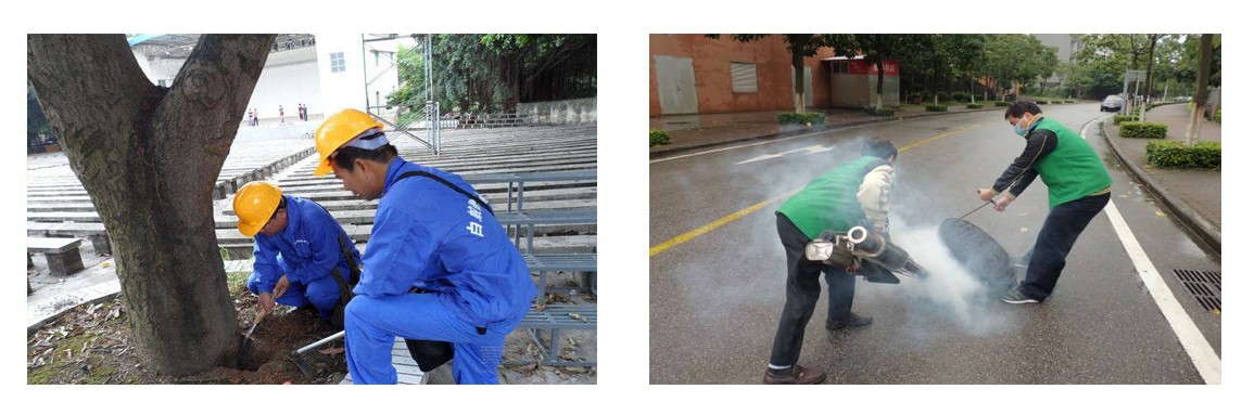 1740121648612535.jpg 1.jpg