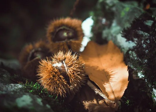 1743563784432487.jpg 責(zé)任.jpg